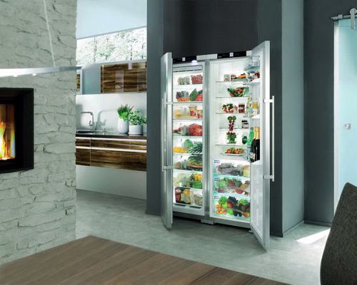 Встраиваемый холодильник Bosch: однокамерные встроенные модели с ситемой No Frost, отзывы
