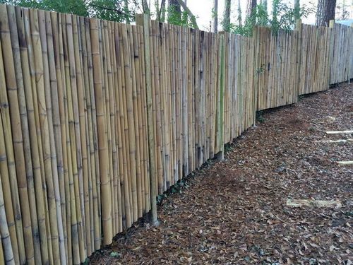 Забор из бамбука своими руками: фото, видео